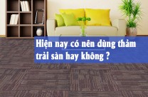 Hiện nay có nên dùng thảm trải sàn hay không ?