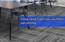 Công năng tuyệt vời của thảm văn phòng