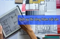 Dịch vụ thi công thảm trải sàn