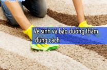 Vệ sinh và bảo dưỡng thảm đúng cách