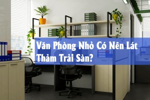 Văn Phòng Nhỏ Có Nên Lát Thảm Trải Sàn? Lợi Ích Và Lời Khuyên Cho Doanh Nghiệp