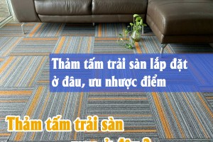 Địa chỉ mua thảm tấm tại TP. Hồ Chí Minh